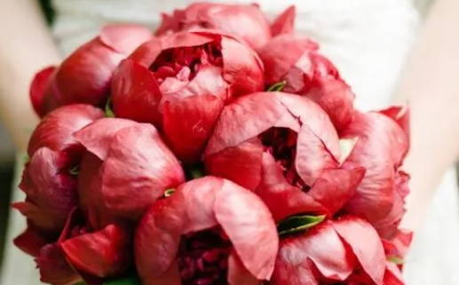 八字纯阴男命生于夏天(男命纯阴八字能不能生到儿子)