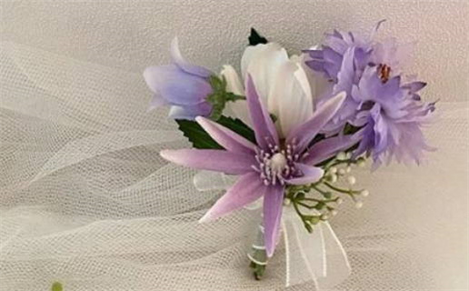 水瓶座女与天秤女友情深度解析