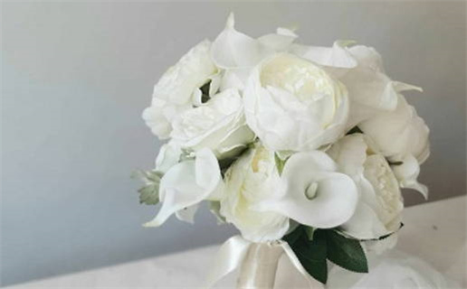 属狗的人和属鼠的人(属狗的人和属鼠的人婚姻相配吗)