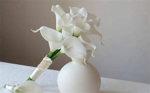 八字如何算母亲寿元命_八字如何算母亲寿元命的