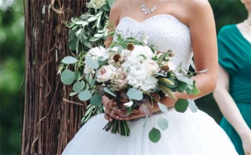 狮子座今年适合养鱼吗男生(狮子座今年适合养鱼吗男生)